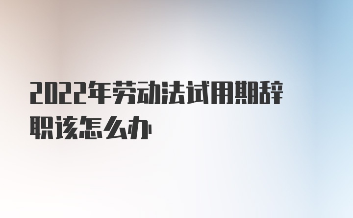 2022年劳动法试用期辞职该怎么办