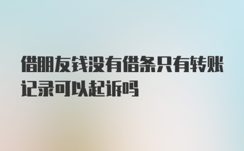 借朋友钱没有借条只有转账记录可以起诉吗