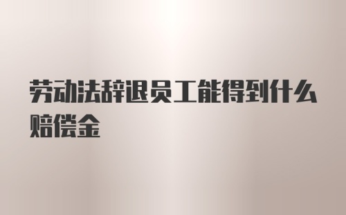 劳动法辞退员工能得到什么赔偿金