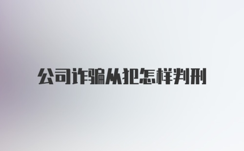 公司诈骗从犯怎样判刑