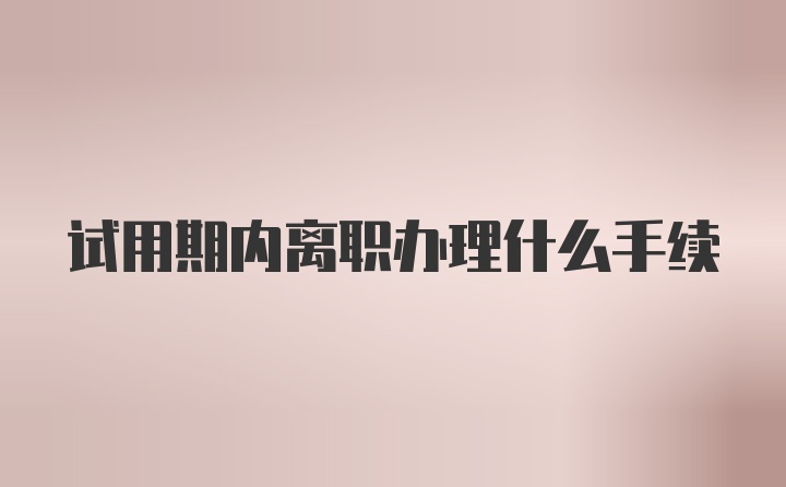 试用期内离职办理什么手续