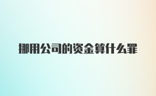 挪用公司的资金算什么罪