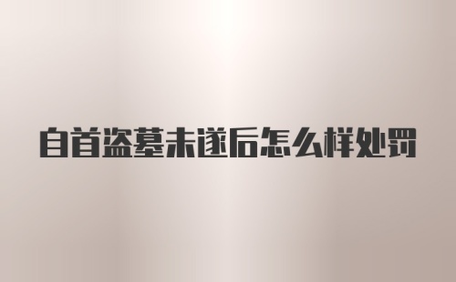 自首盗墓未遂后怎么样处罚