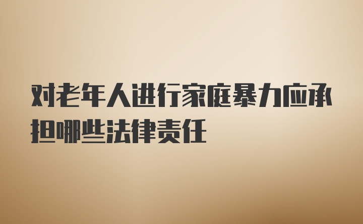 对老年人进行家庭暴力应承担哪些法律责任