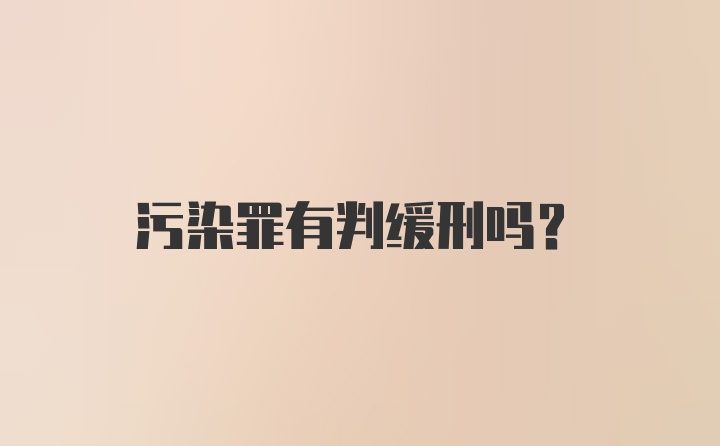 污染罪有判缓刑吗?