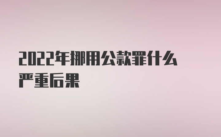 2022年挪用公款罪什么严重后果