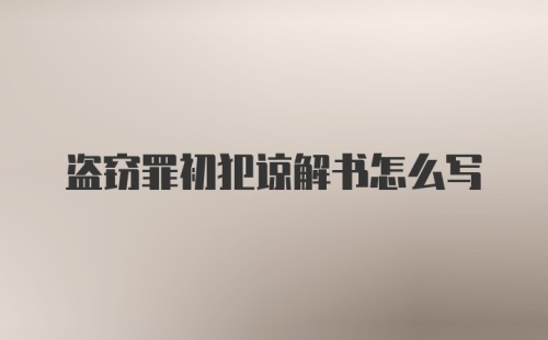 盗窃罪初犯谅解书怎么写