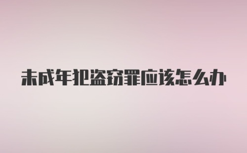 未成年犯盗窃罪应该怎么办