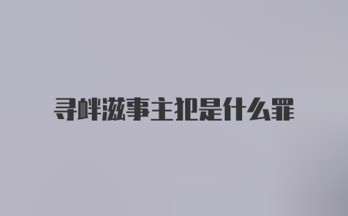 寻衅滋事主犯是什么罪