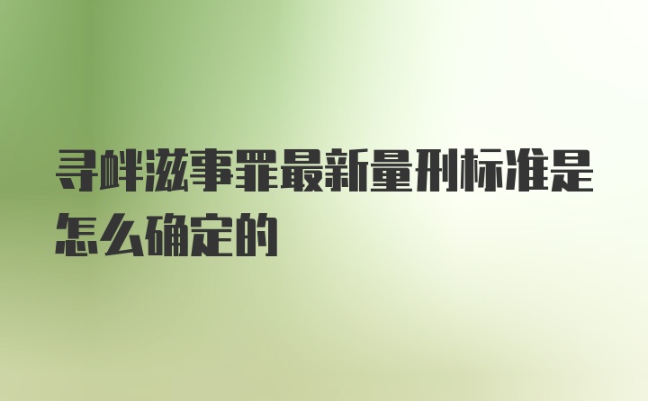 寻衅滋事罪最新量刑标准是怎么确定的