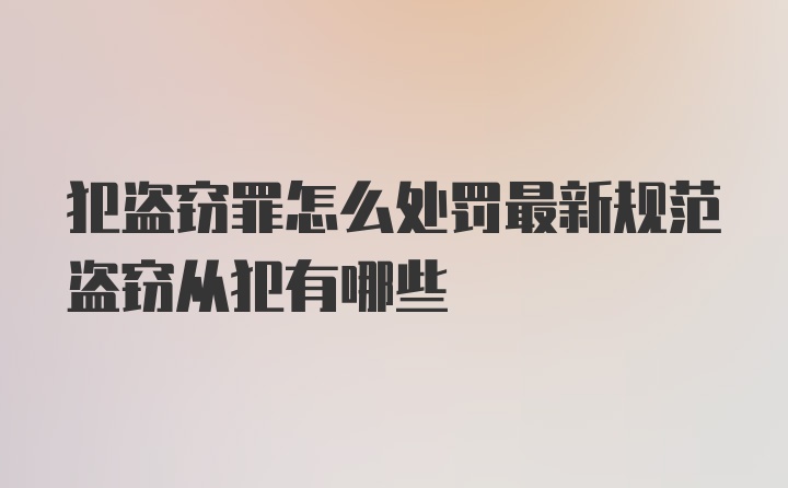 犯盗窃罪怎么处罚最新规范盗窃从犯有哪些