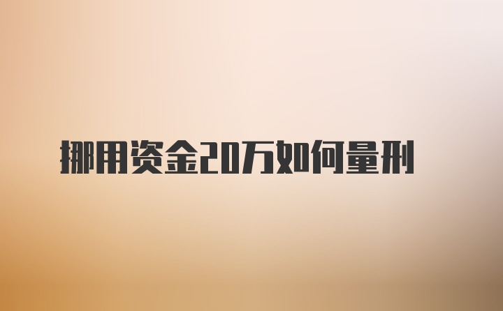 挪用资金20万如何量刑