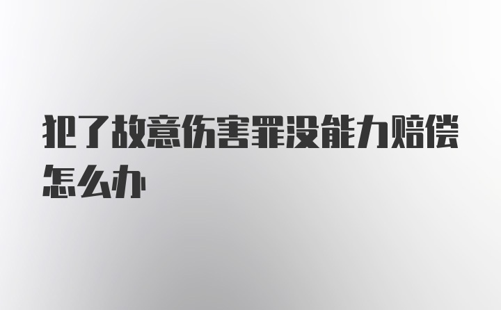 犯了故意伤害罪没能力赔偿怎么办