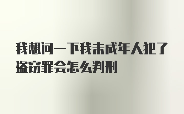 我想问一下我未成年人犯了盗窃罪会怎么判刑