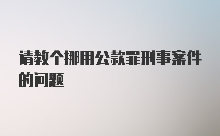 请教个挪用公款罪刑事案件的问题