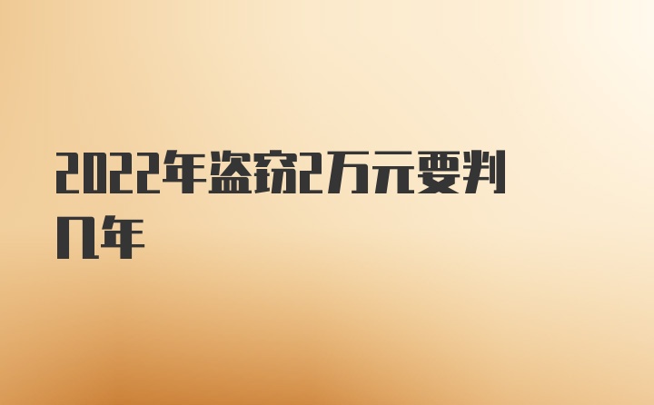 2022年盗窃2万元要判几年