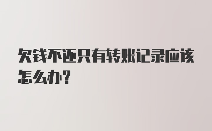 欠钱不还只有转账记录应该怎么办？