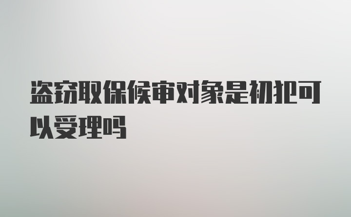 盗窃取保候审对象是初犯可以受理吗