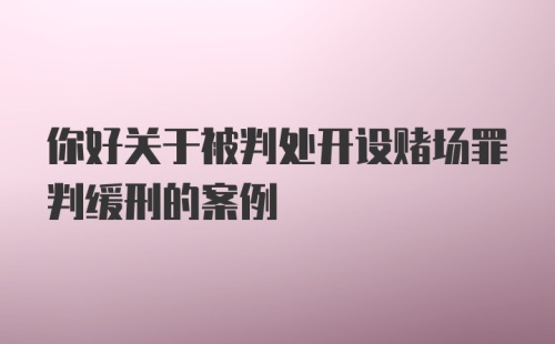 你好关于被判处开设赌场罪判缓刑的案例