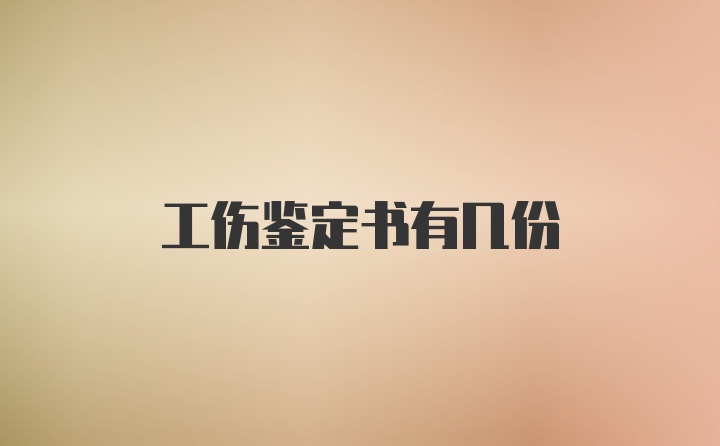 工伤鉴定书有几份