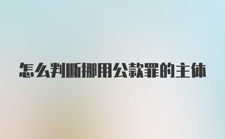 怎么判断挪用公款罪的主体