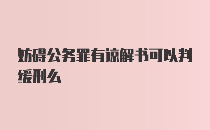 妨碍公务罪有谅解书可以判缓刑么