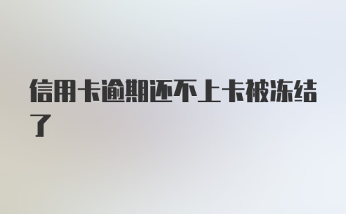 信用卡逾期还不上卡被冻结了