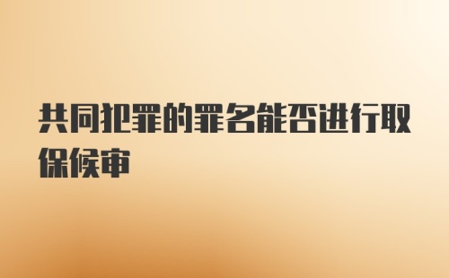 共同犯罪的罪名能否进行取保候审