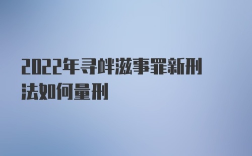 2022年寻衅滋事罪新刑法如何量刑