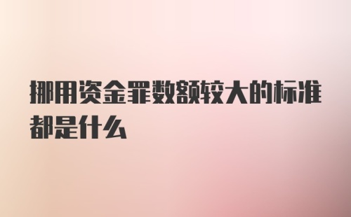 挪用资金罪数额较大的标准都是什么