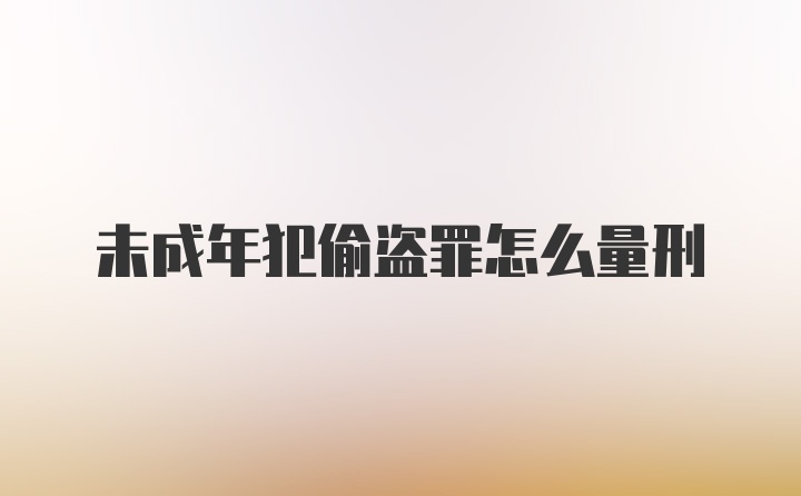 未成年犯偷盗罪怎么量刑