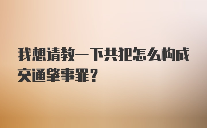 我想请教一下共犯怎么构成交通肇事罪？