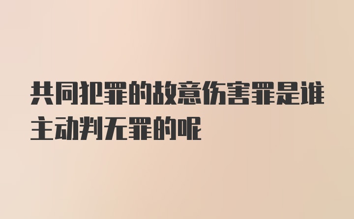 共同犯罪的故意伤害罪是谁主动判无罪的呢