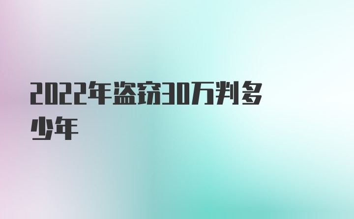 2022年盗窃30万判多少年