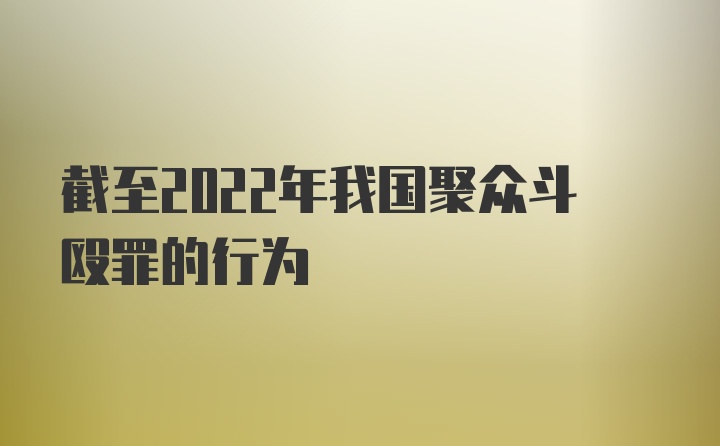 截至2022年我国聚众斗殴罪的行为