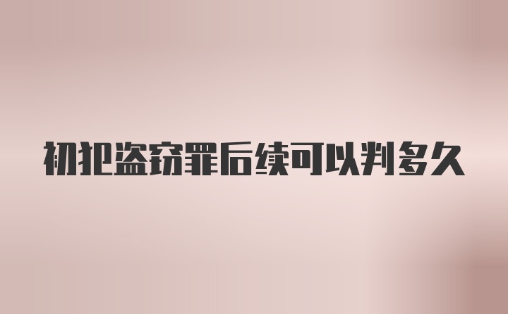 初犯盗窃罪后续可以判多久