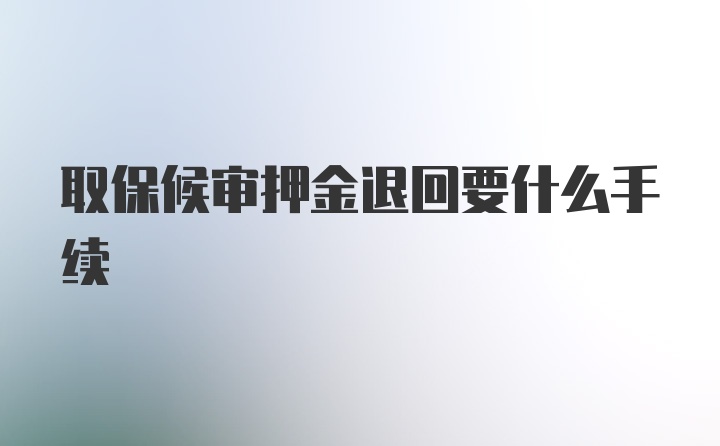 取保候审押金退回要什么手续