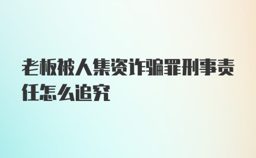 老板被人集资诈骗罪刑事责任怎么追究