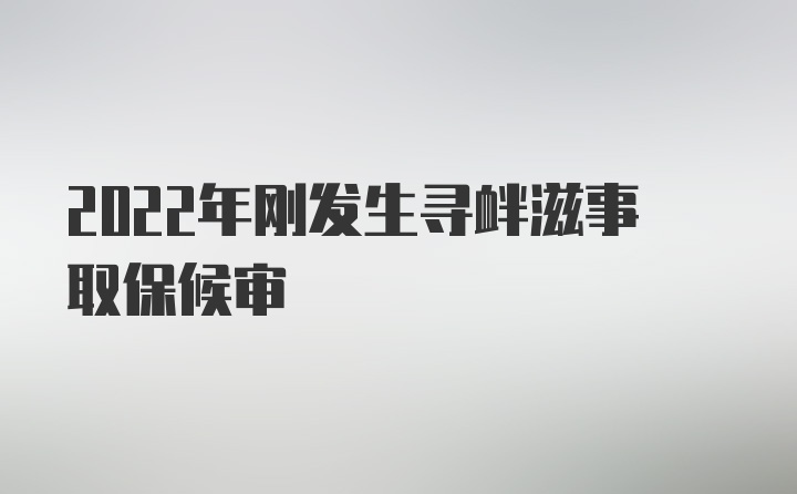 2022年刚发生寻衅滋事取保候审