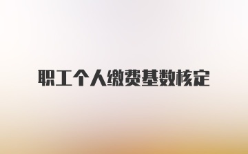 职工个人缴费基数核定