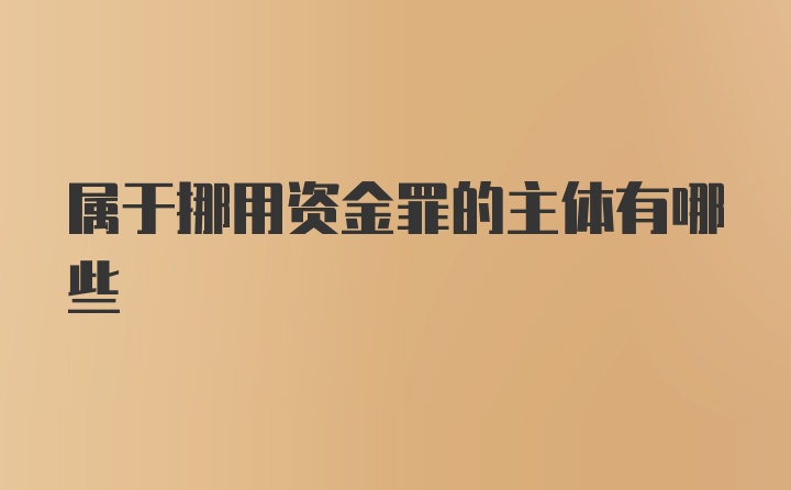 属于挪用资金罪的主体有哪些