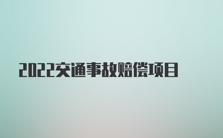 2022交通事故赔偿项目