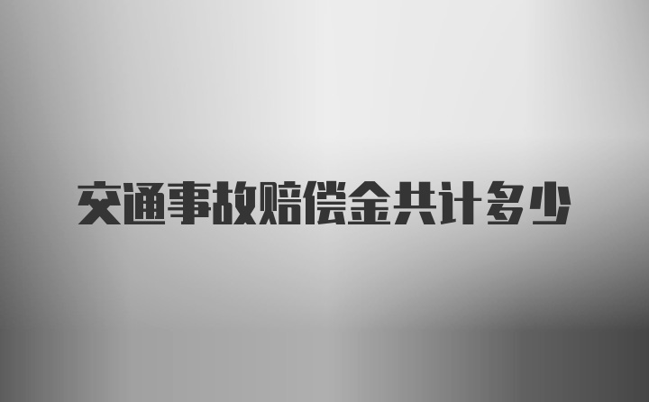 交通事故赔偿金共计多少