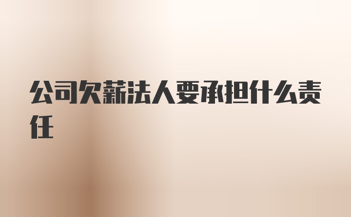 公司欠薪法人要承担什么责任