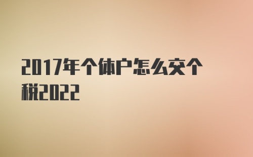 2017年个体户怎么交个税2022