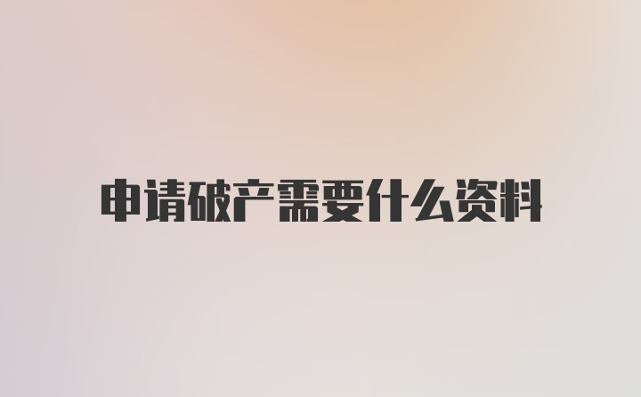 申请破产需要什么资料