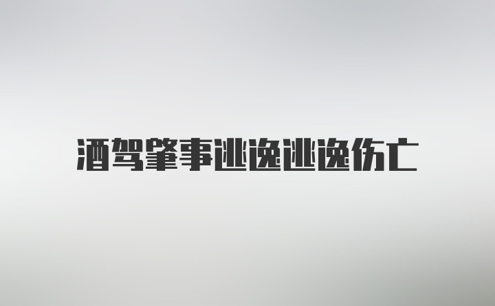 酒驾肇事逃逸逃逸伤亡