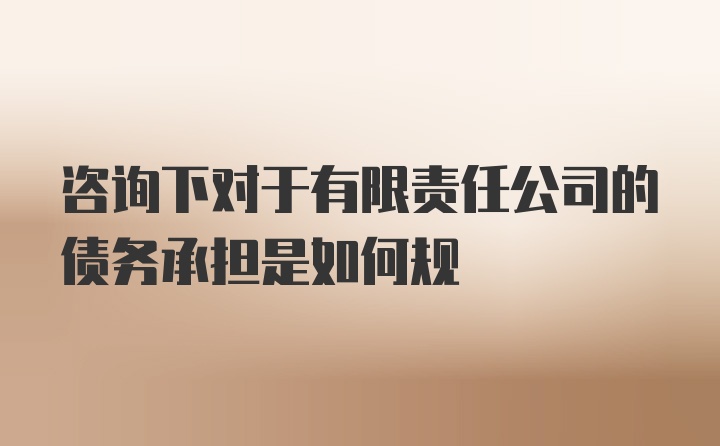 咨询下对于有限责任公司的债务承担是如何规