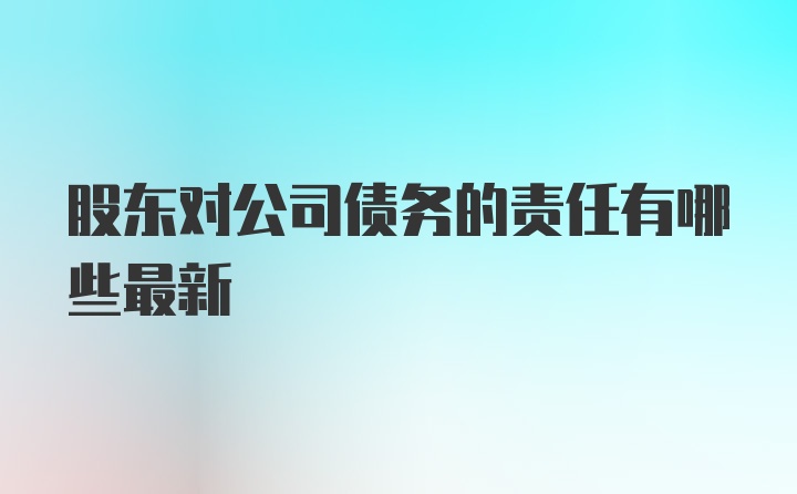 股东对公司债务的责任有哪些最新