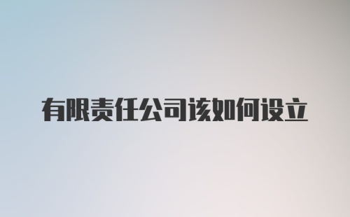 有限责任公司该如何设立